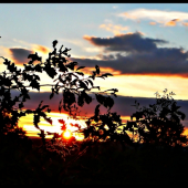 letný podvečer ...