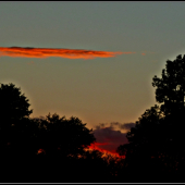skoro ako požiar ...