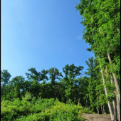 kraj rúbane na jar ...