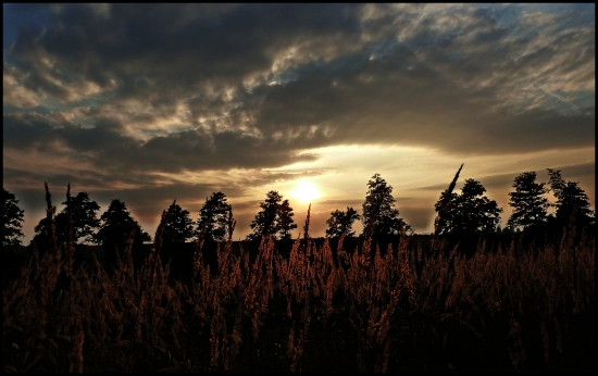 jesenný západ  I. ...