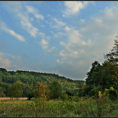 pod Starým hájom ...