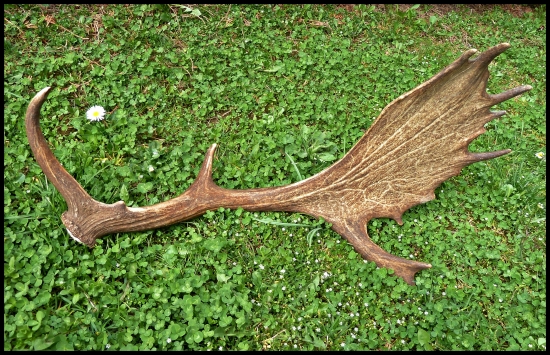 celkom slušný :-) ...