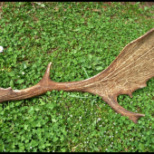 celkom slušný :-) ...