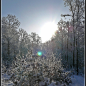 už sa to blíži ...