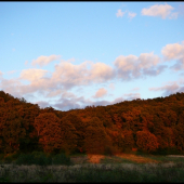 jesenný podvečer ...