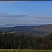 kopčeky v diaľke ...