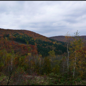 jesenná paleta farieb ...