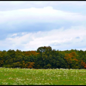 jesenné Veľké pole ...