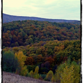 teplé farby jesene ...