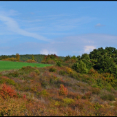 jeseň nad rybníkom ...