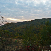 podvečer na konci revíru ...