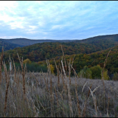 jeseň cez trávu ...