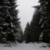 Romantická vzpomienka - za chvíľu však tvrdá realita ...