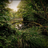 letná vzpomienka...