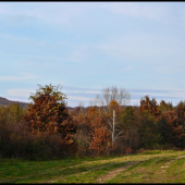 jeseň v Cerinách ...