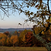 pohľad z lavičky ...