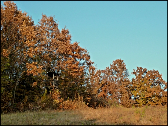v jesennom náručí ...