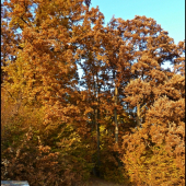 ešte pár krokov a som v hore ...