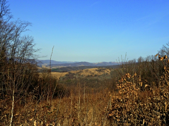 pohľad z rúbane ...