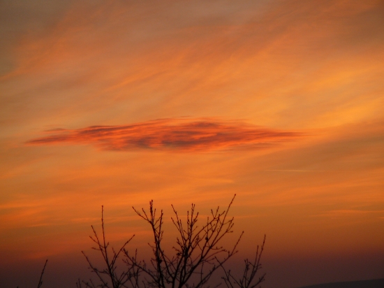 oranžový podvečer ...