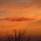 oranžový podvečer ...