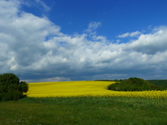 jedna na zahriatie...