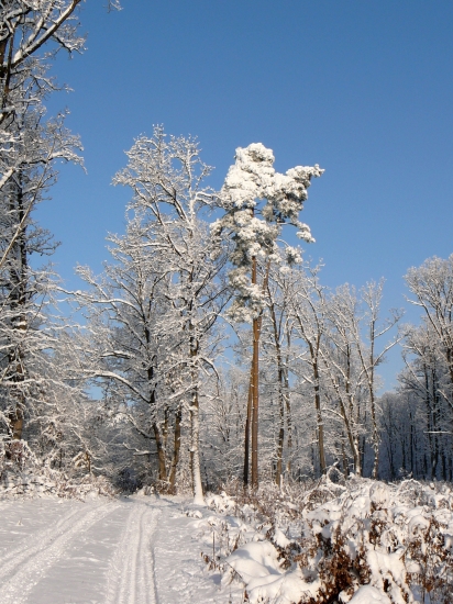 kedy už bude takto ... ?