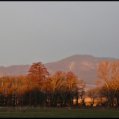 v žiari ranného slnka ...