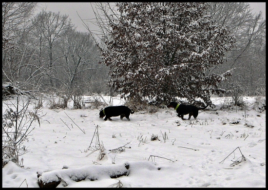 už idem, čo si našiel...?