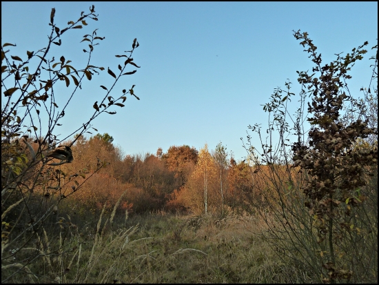jeseň pod posedom ...