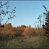 jeseň pod posedom ...