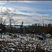 začiatok rúbane ...