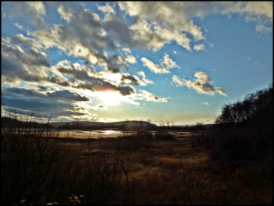 vypustený rybník ...