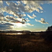 vypustený rybník ...