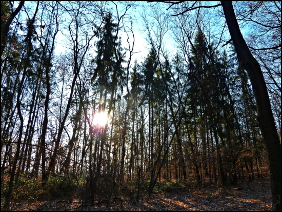 východ slnka Pri smrečkoch ...