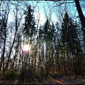 východ slnka Pri smrečkoch ...