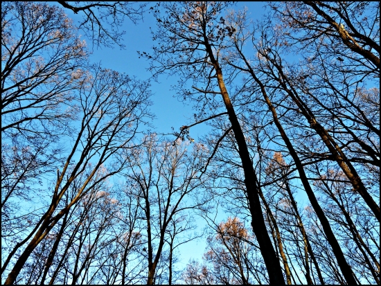 slnkom ožiarené vrcholce ...