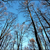 slnkom ožiarené vrcholce ...