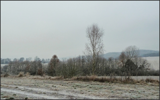 včera spadlo zopár vločiek ...