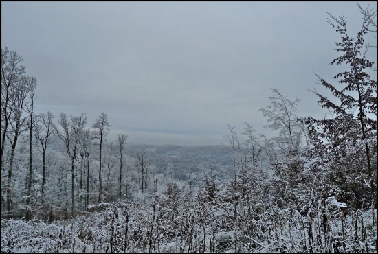 toto treba preduriť ...