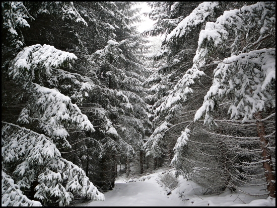 keby už takto bolo ...