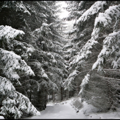 keby už takto bolo ...