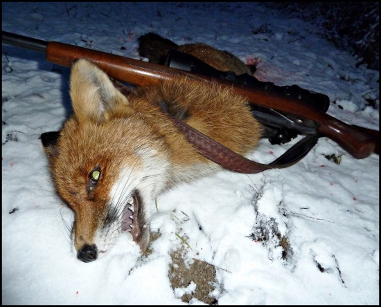 V poslednej chvíli ... :-)