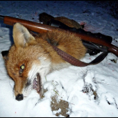 V poslednej chvíli ... :-)