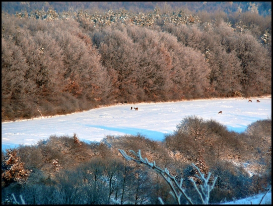 ...aj so srnčou ...