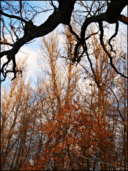 v žiari podvečerného slnka  I. ...