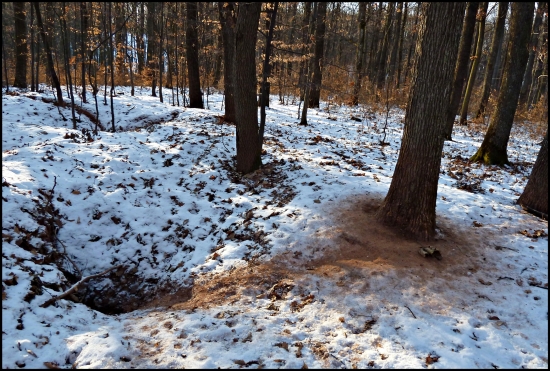 borsuk sa chodí vetrať ...