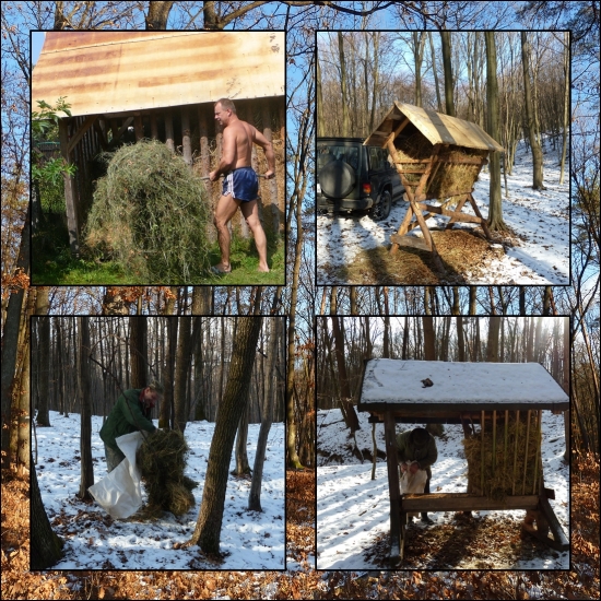 zo záhrady až do hory ...