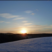 ráno na Poiplí ...