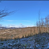 pred rúbaňou - detail